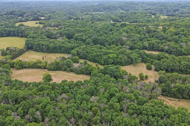 6770 Bly Trice Rd, College Grove, TN 37046