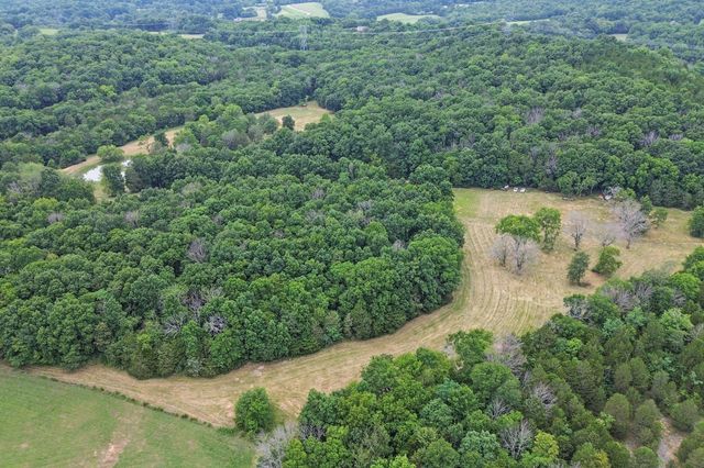 6770 Bly Trice Rd, College Grove, TN 37046