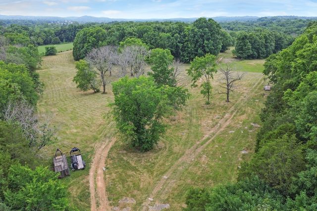 6770 Bly Trice Rd, College Grove, TN 37046