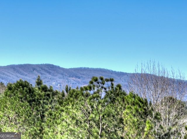 229 Crossroads Church Road, Ellijay, GA 30540
