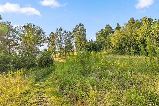 190 Gray Fox Court, Jasper, TN 37347