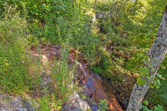 190 Gray Fox Court, Jasper, TN 37347