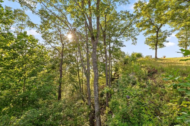 190 Gray Fox Court, Jasper, TN 37347