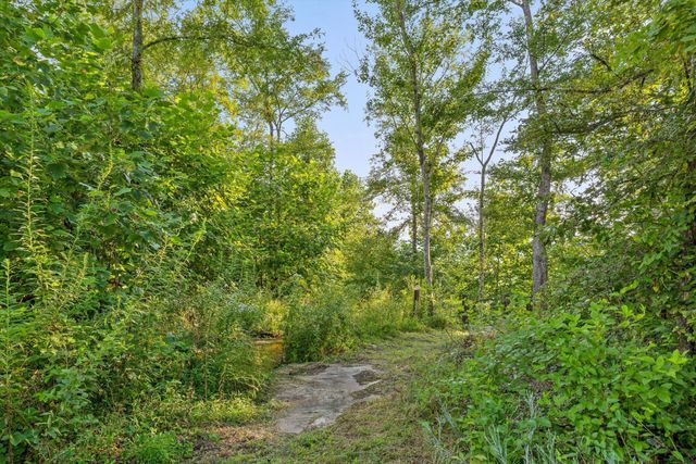 190 Gray Fox Court, Jasper, TN 37347