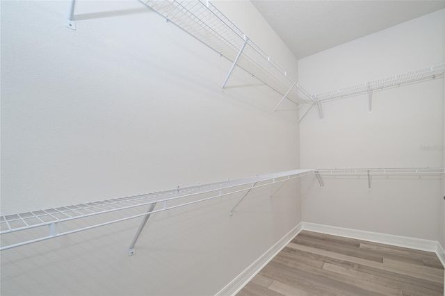 19800 SHIP WHEEL WAY, Land O Lakes, FL 34638