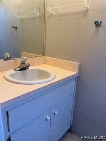 324 W Staggerbush Path, Beverly Hills, FL 34465