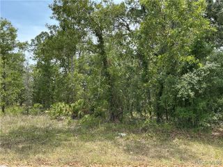 20 Poppy Street, Homosassa, FL 34446