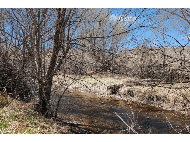 10723 Buckhorn Ridge Way, Loveland, CO 80538