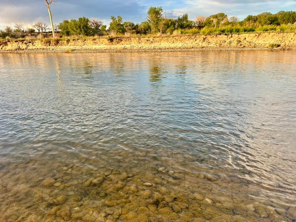 1321 N 6th St, Greybull, WY 82426 photo 16