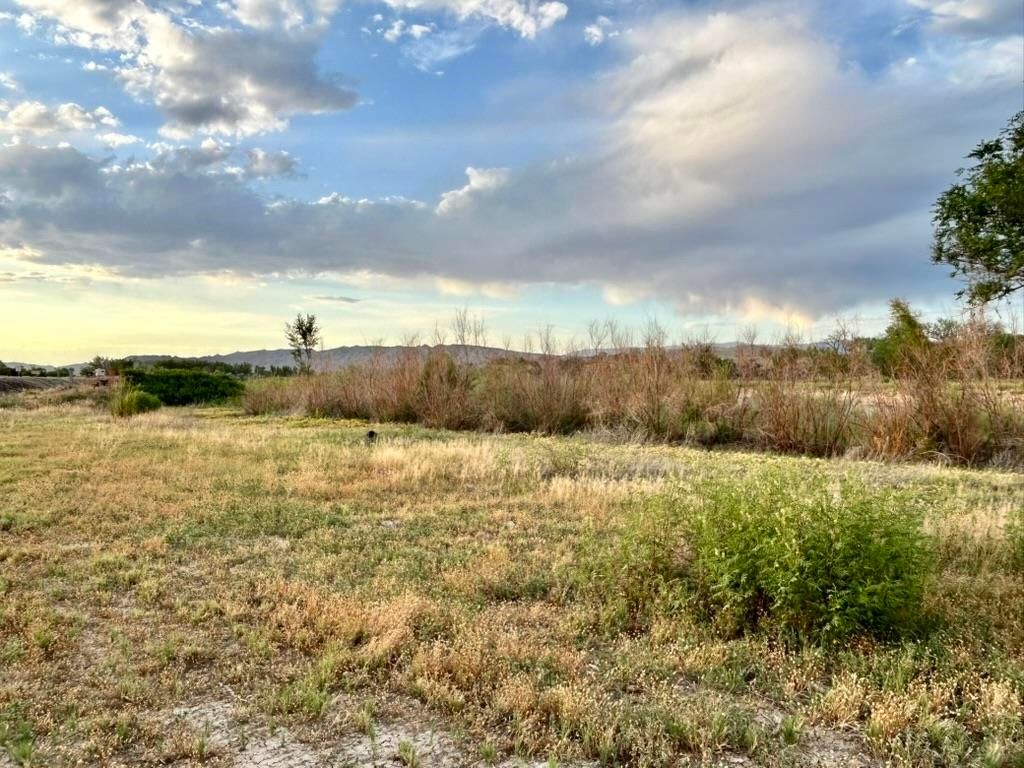 1321 N 6th St, Greybull, WY 82426 photo 17