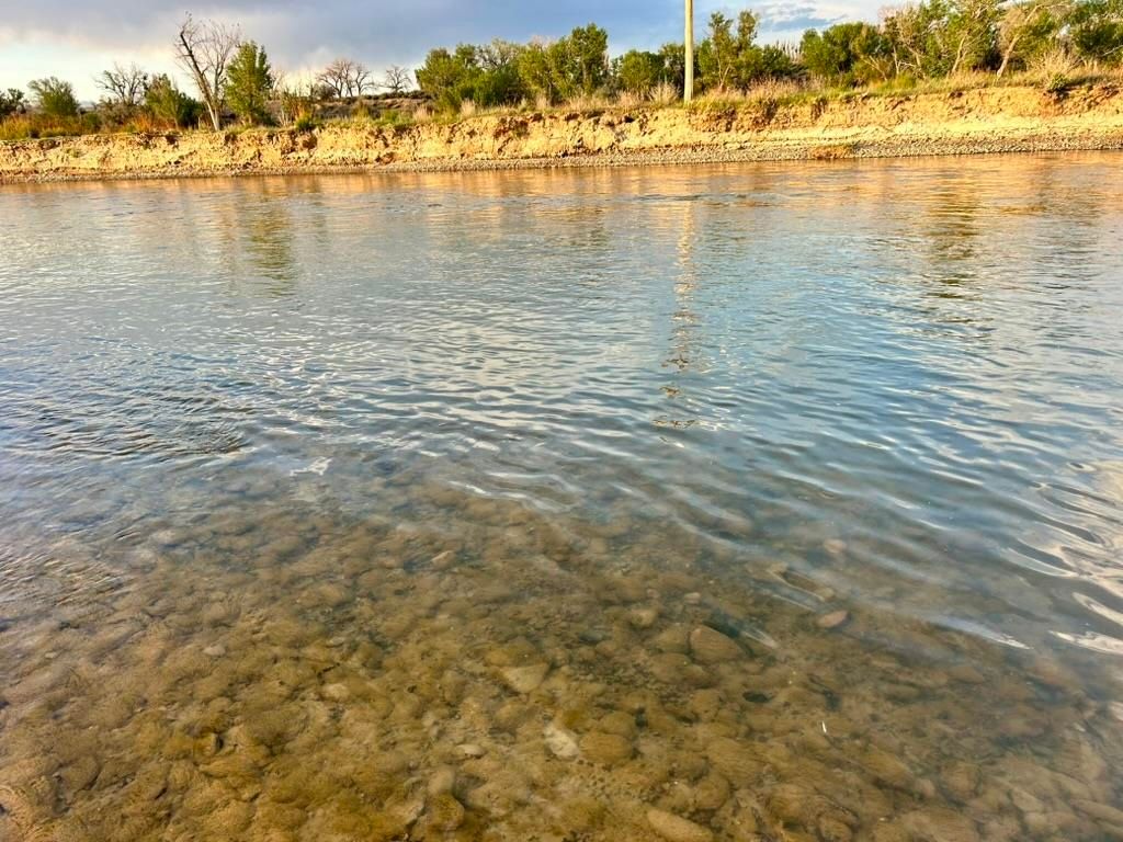 1321 N 6th St, Greybull, WY 82426 photo 24