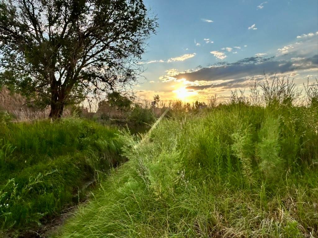 1321 N 6th St, Greybull, WY 82426 photo 32