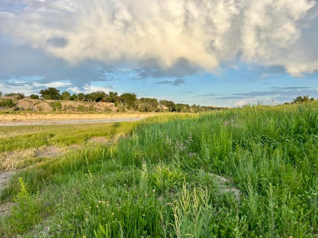 1321 N 6th St, Greybull, WY 82426 photo 34