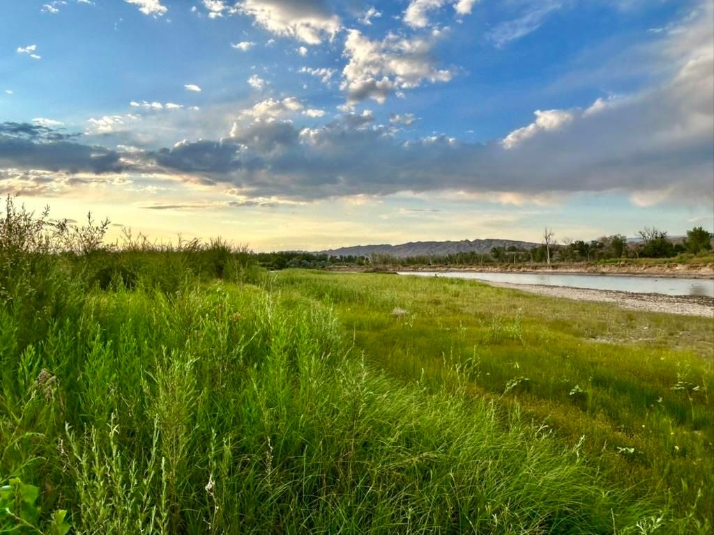 1321 N 6th St, Greybull, WY 82426 photo 6