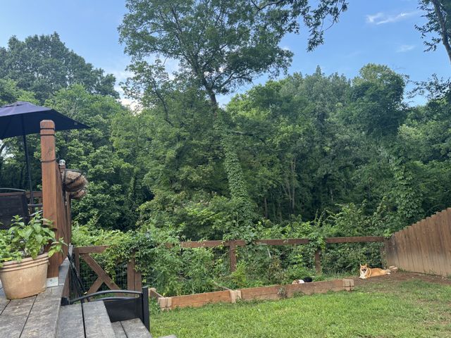 327 Dinwiddie Dr, Madison, TN 37115