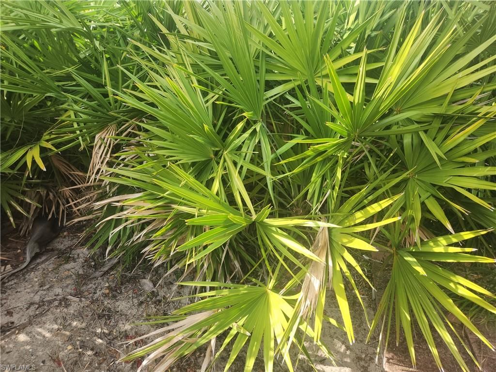 544 Wabasso AVE S, LEHIGH ACRES, FL 33974 — exterior