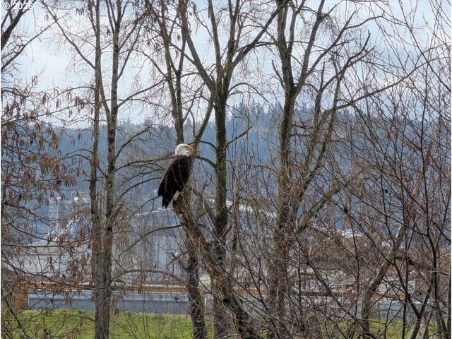 2064 S RIVER Rd, Kelso, WA 98626