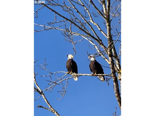 2064 S RIVER Rd, Kelso, WA 98626