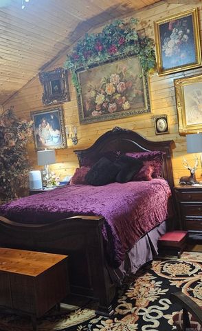 438 Harpers Cove, Shirley, AR 72153