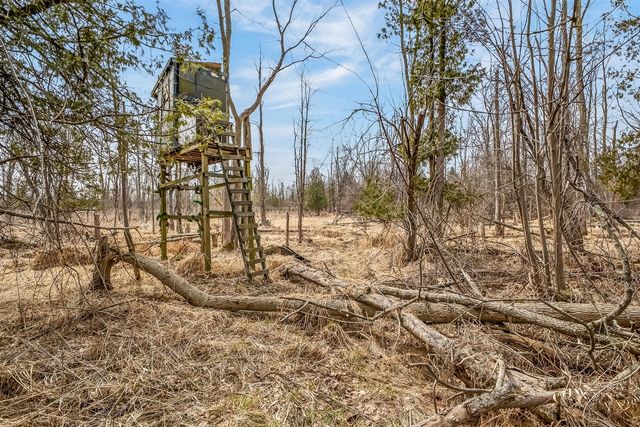875 E Jackson Road, Hart, MI 49420