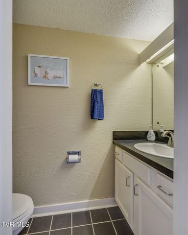 111 Tree Top Lane 111, Johnson City, TN 37601