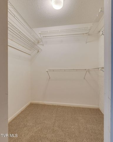 111 Tree Top Lane 111, Johnson City, TN 37601