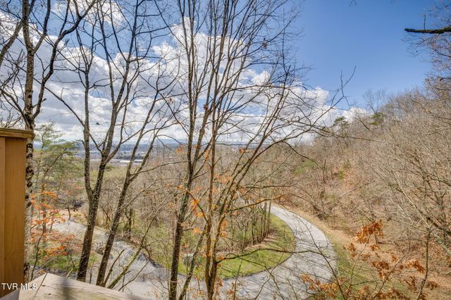 111 Tree Top Lane 111, Johnson City, TN 37601