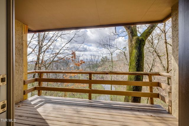 111 Tree Top Lane 111, Johnson City, TN 37601