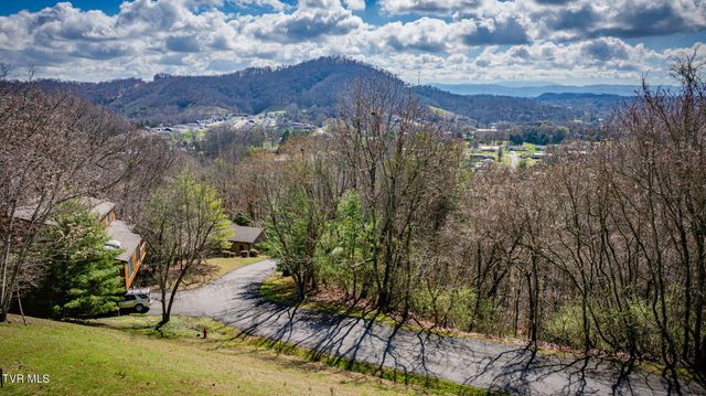 111 Tree Top Lane 111, Johnson City, TN 37601