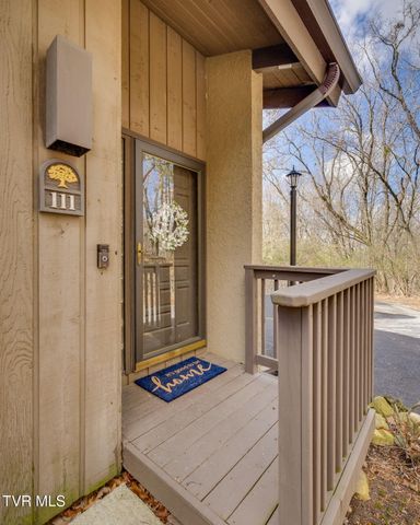 111 Tree Top Lane 111, Johnson City, TN 37601