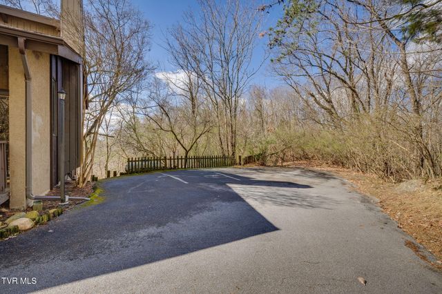111 Tree Top Lane 111, Johnson City, TN 37601