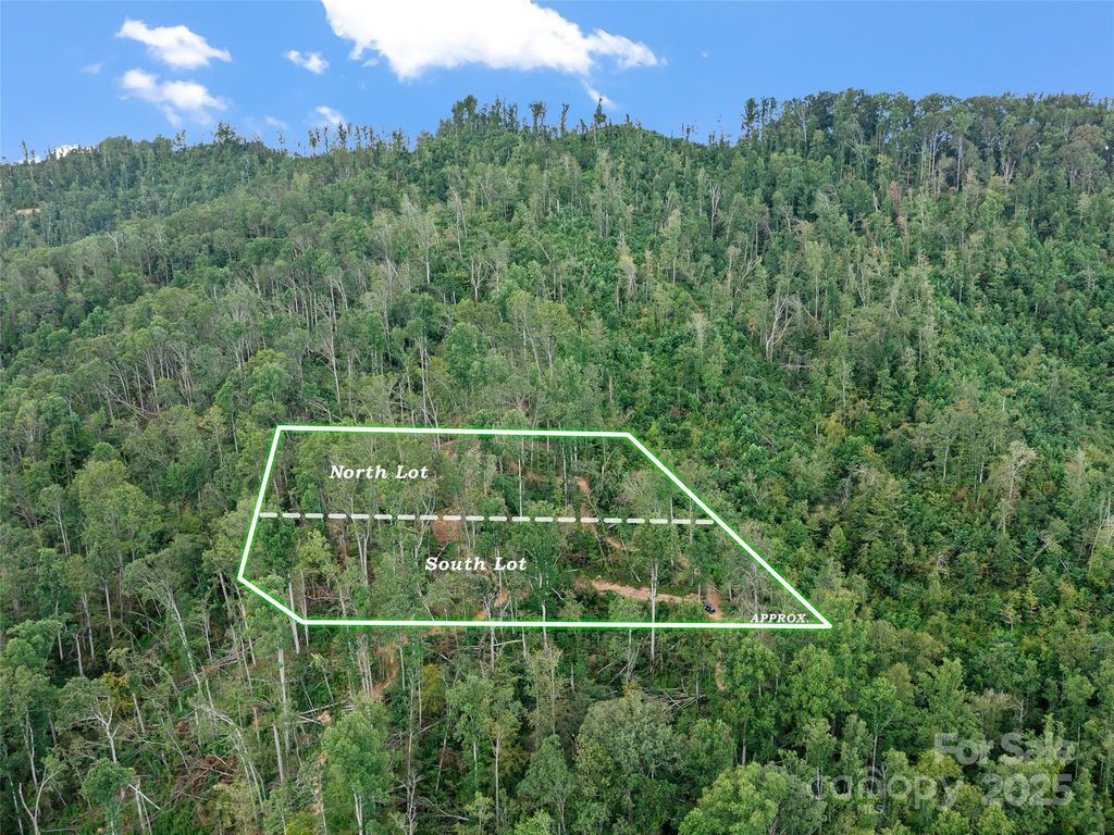 99999 Youngs Gap Road, Fletcher, NC 28732