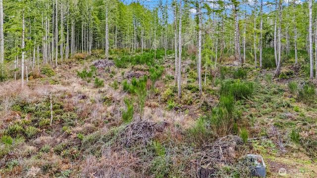 12815 154th Avenue NW, Gig Harbor, WA 98329