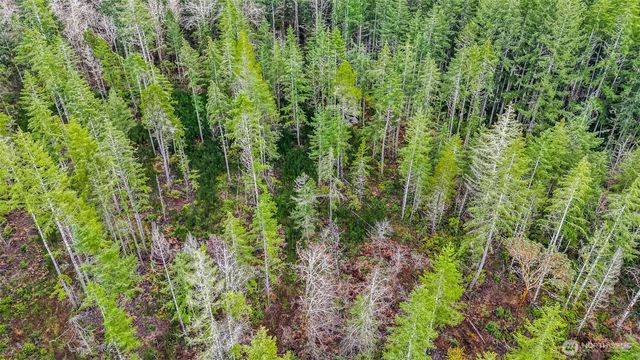 12815 154th Avenue NW, Gig Harbor, WA 98329