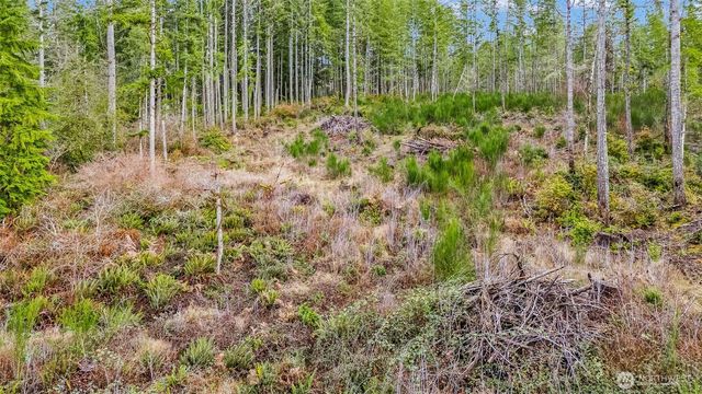 12815 154th Avenue NW, Gig Harbor, WA 98329