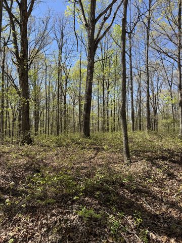 0 Indian Creek Rd, Mc Ewen, TN 37101