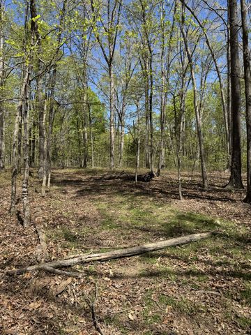 0 Indian Creek Rd, Mc Ewen, TN 37101