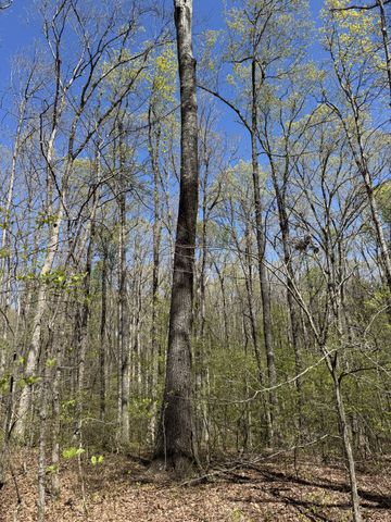 0 Indian Creek Rd, Mc Ewen, TN 37101