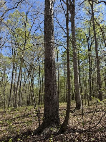 0 Indian Creek Rd, Mc Ewen, TN 37101