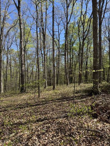 0 Indian Creek Rd, Mc Ewen, TN 37101