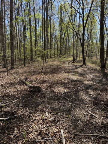 0 Indian Creek Rd, Mc Ewen, TN 37101