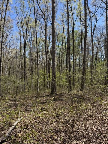 0 Indian Creek Rd, Mc Ewen, TN 37101