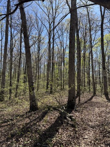 0 Indian Creek Rd, Mc Ewen, TN 37101