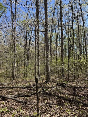 0 Indian Creek Rd, Mc Ewen, TN 37101