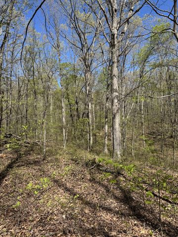 0 Indian Creek Rd, Mc Ewen, TN 37101