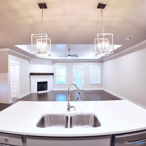 404 Tillane Park Circle, Huntsville, AL 35824