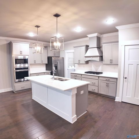 404 Tillane Park Circle, Huntsville, AL 35824