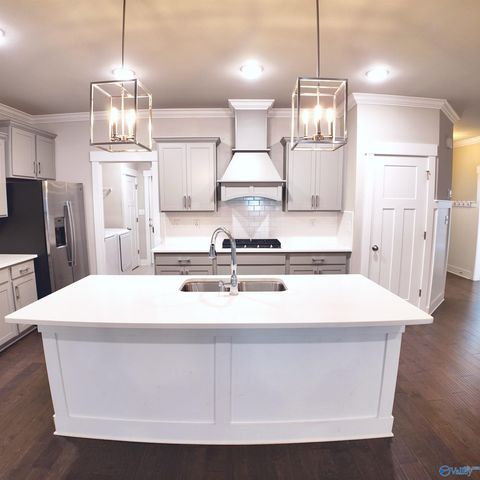 404 Tillane Park Circle, Huntsville, AL 35824