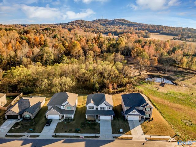 140 Amelia Drive, Harvest, AL 35749