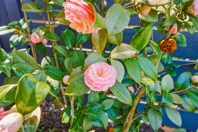 926 6TH Avenue N, Jacksonville Beach, FL 32250